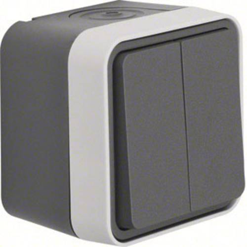 Berker Serientaster Aufputz W.1 Grau, Lichtgrau 50753515 1 St.