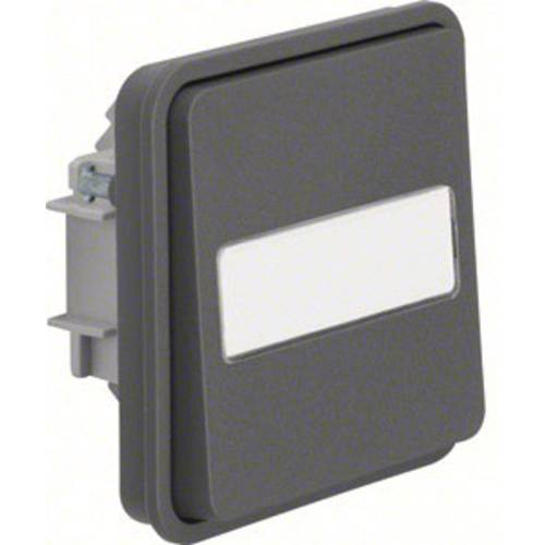 Berker Taster Aufputz W.1 Grau, Lichtgrau 50763555 1 St.