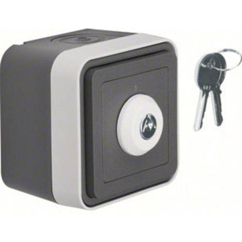 Berker Schlüsselschalter Aufputz W.1 Grau, Lichtgrau 32713505 1 St.