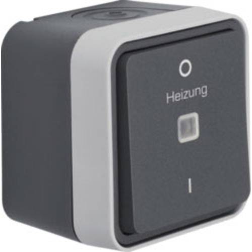 Berker Heizungs-Notschalter Aufputz W.1 Grau, Lichtgrau 35623505 1 St.