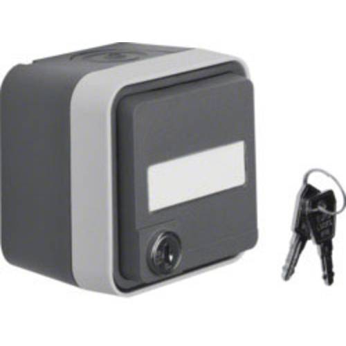 Berker Schutzkontakt-Steckdose abschließbar Aufputz W.1 Grau, Lichtgrau 47393505 1 St.