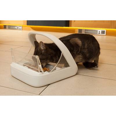 Eine Katze frisst aus einem automatischen Futterspender auf einem gefliesten Boden in einer häuslichen Umgebung.