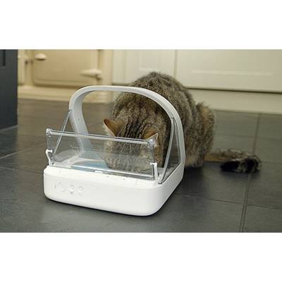 Eine Katze frisst aus einem Futterspender mit Klappdeckel in einer Küche. Der Spender hat eine durchsichtige Abdeckung.