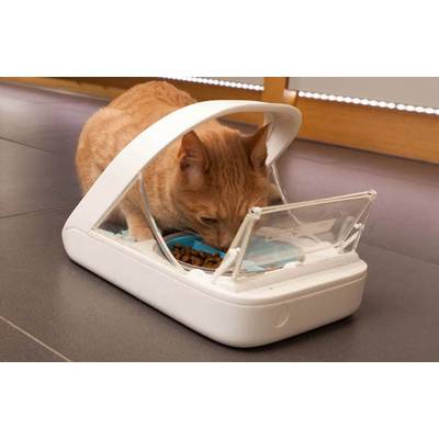 Eine orangefarbene Katze frisst aus einem Futterspender mit transparentem Deckel in einem Innenraum.