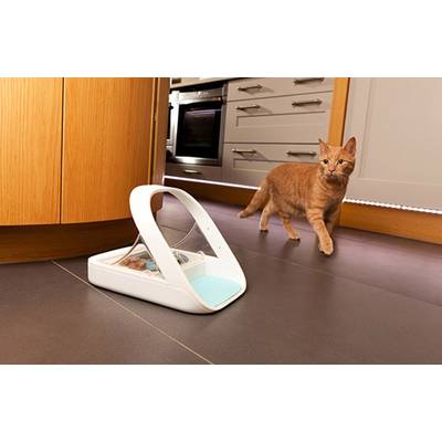 Eine orangefarbene Katze geht in einer Küche auf einem braunen Boden. Ein automatischer Futterspender mit Futter steht vor ihr.