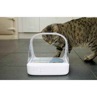 Eine Katze untersucht einen automatischen Futterspender, der auf einem Küchenboden steht.