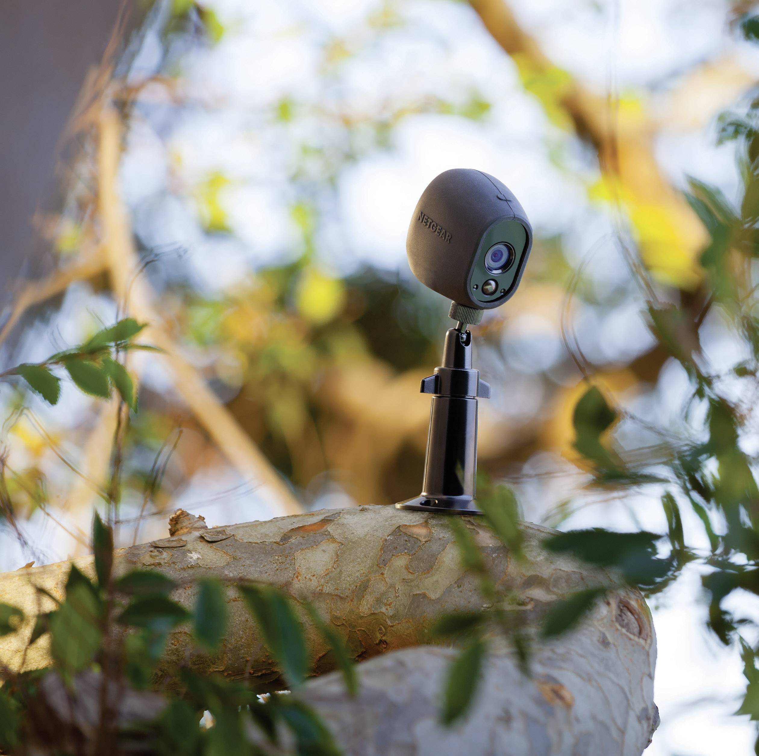 Eine grau-schwarze Überwachungskamera ist auf einem Baum positioniert, umgeben von grünen Blättern.