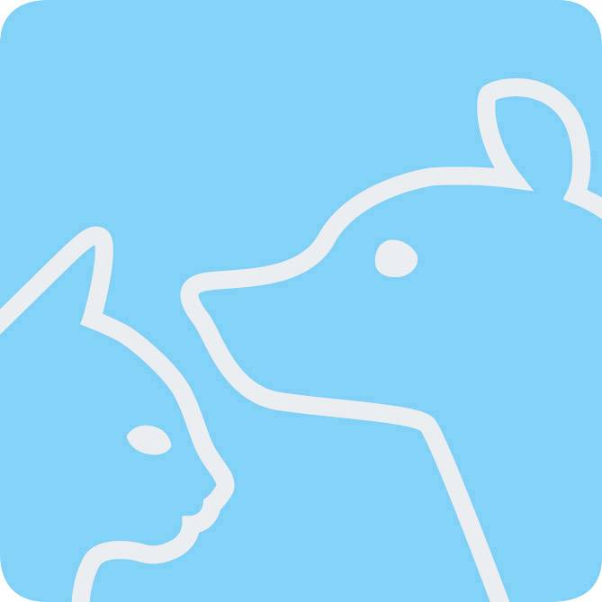 Eine stilisierte weiße Silhouette von Katze und Hund auf blauem Hintergrund, die Zuneigung und Freundschaft zwischen den Tieren symbolisiert.