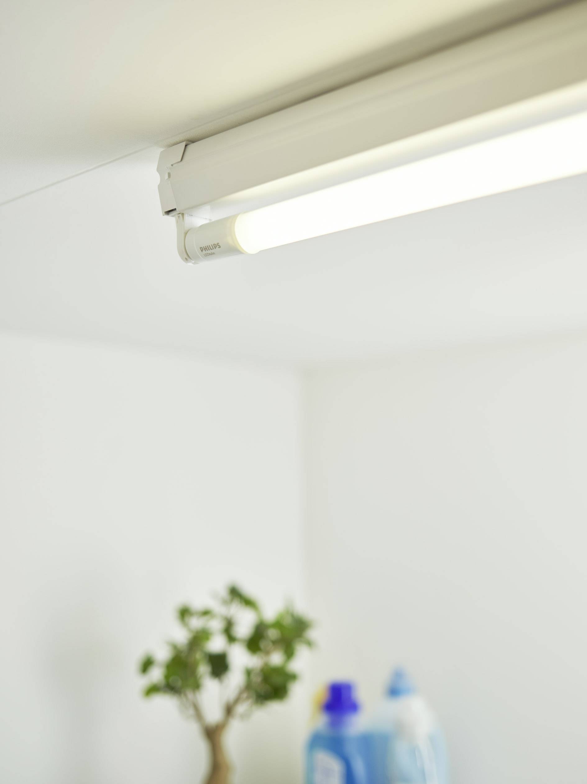 Philips LED LED EEK: F (A - G) G13 Röhrenform VVG, KVG 8 W = 18 W Neutralweiß (Ø x L) 28 mm x 600 mm 1 St.-0