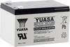 Yuasa REC14-12 YUAREC1412 Bleiakku 12 V 14 Ah Blei-Vlies (AGM) (B x H x T) 151 x 97 x 98 mm Flachstecker 6.35 mm Geringe Selbstentladung, Wartungsarm, Zyklenfest