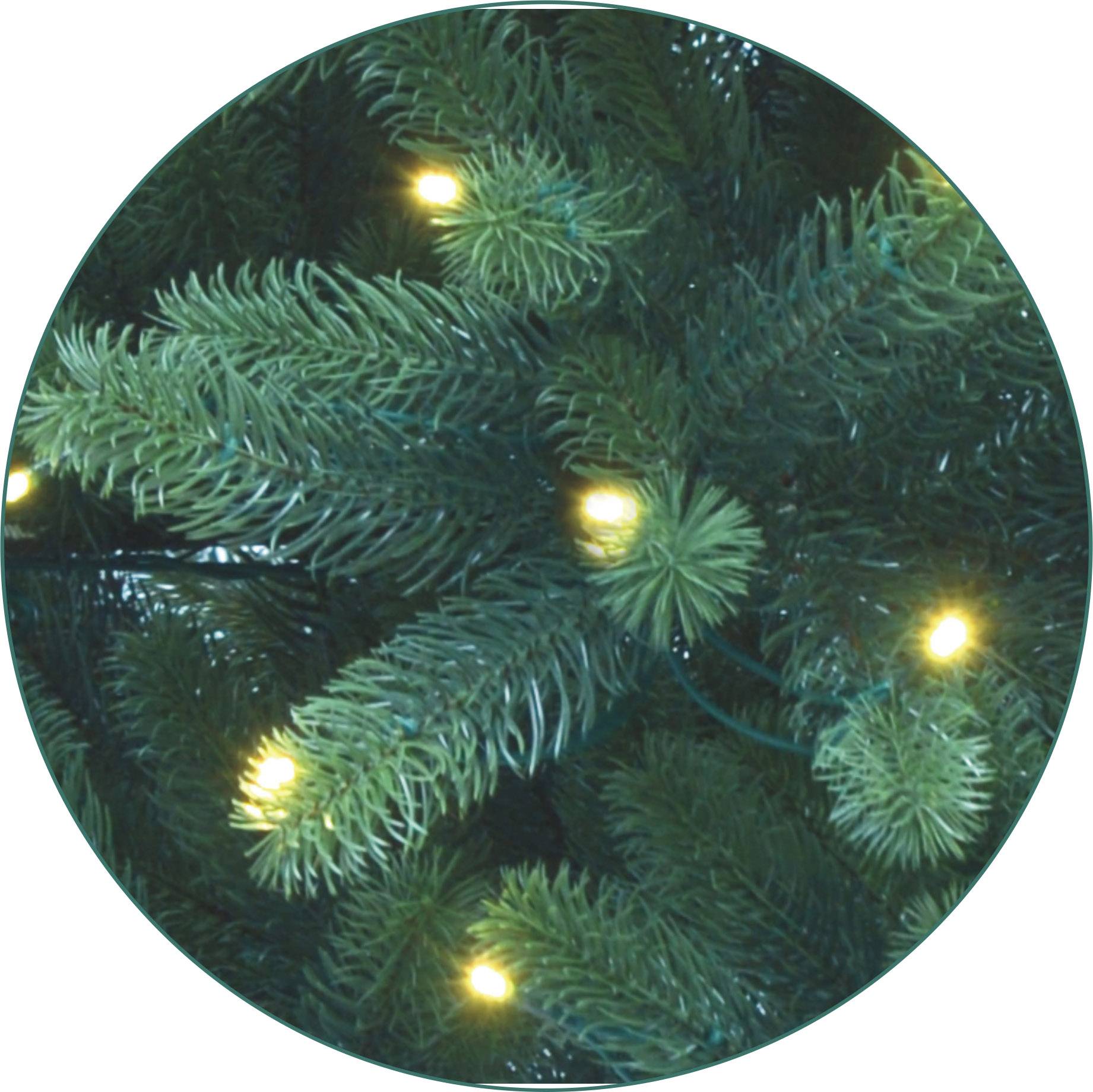 Grüne Tannenzweige mit warmweißen Lichtern geschmückt, Nahaufnahme eines beleuchteten Weihnachtsbaums.