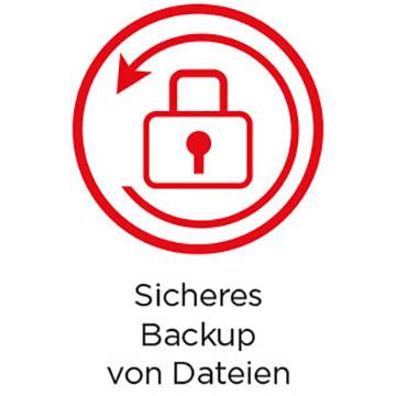 Ein rotes Symbol eines Vorhängeschlosses in einem Kreis mit Pfeil. Darunter steht 'Sicheres Backup von Dateien'.