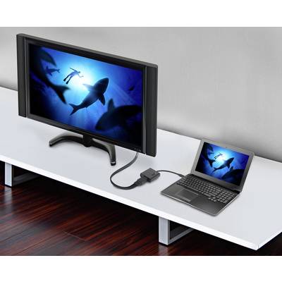 Ein Laptop ist mithilfe eines Kabels mit einem größeren Monitor verbunden. Auf beiden Bildschirmen ist ein Bild von Haien im Ozean zu sehen.