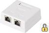 2 Port Netzwerkdose Aufputz CAT 6 Renkforce KSV-ND20 Weiß RF-4473855