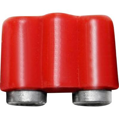 Rotes Lego-Duplo-Baustein mit zwei Noppen, rechteckige Form.