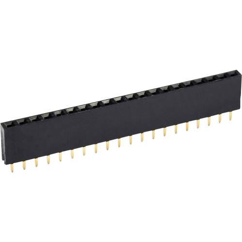 econ connect Buchsenleiste (Standard) Anzahl Reihen: 1 Polzahl je Reihe: 3 BLG1X3 1 St.