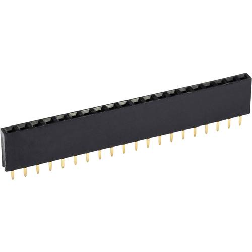 econ connect Buchsenleiste (Standard) Anzahl Reihen: 1 Polzahl je Reihe: 11 BLG1X11 1 St.