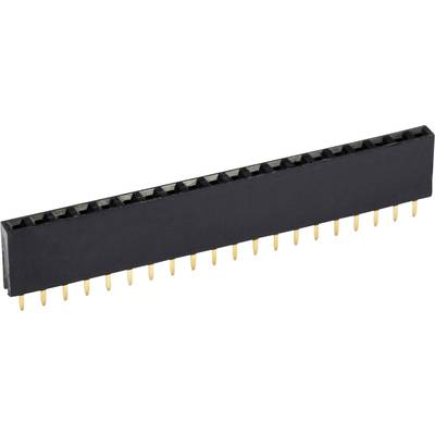 Ein schwarzer, rechteckiger Pinheader mit 20 goldenen Pins, verwendet zum Verbinden elektronischer Bauteile auf Platinen.