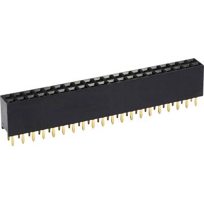 Schwarzer 40-poliger Steckverbinder mit goldfarbenen Pins, häufig in elektronischen Schaltungen verwendet.