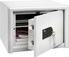 BURG WÄCHTER Sicherheitsschrank CL 10 S H320xB435xT380mm 15 l 44 kg