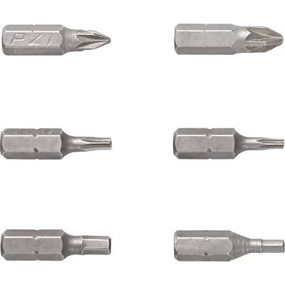 Sechs verschiedene Schraubendreher-Bits angeordnet in zwei Reihen. Oben: Kreuz- und Schlitz-Bits; unten: Torx- und Schlitz-Bits.