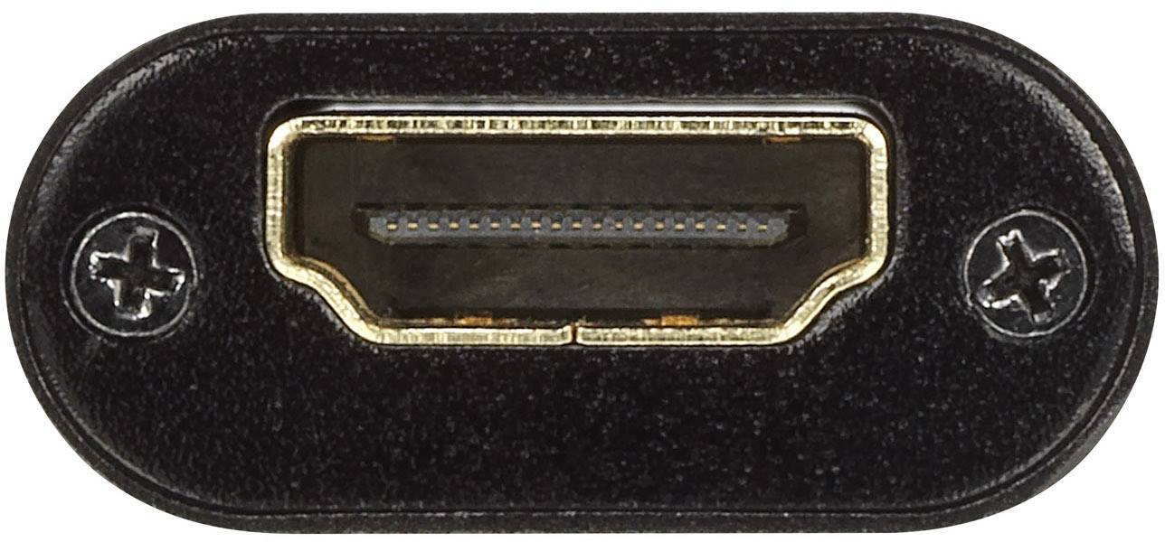 Nahaufnahme eines schwarzen HDMI-Anschlusses mit goldenen Kontakten, umgeben von zwei Schrauben.