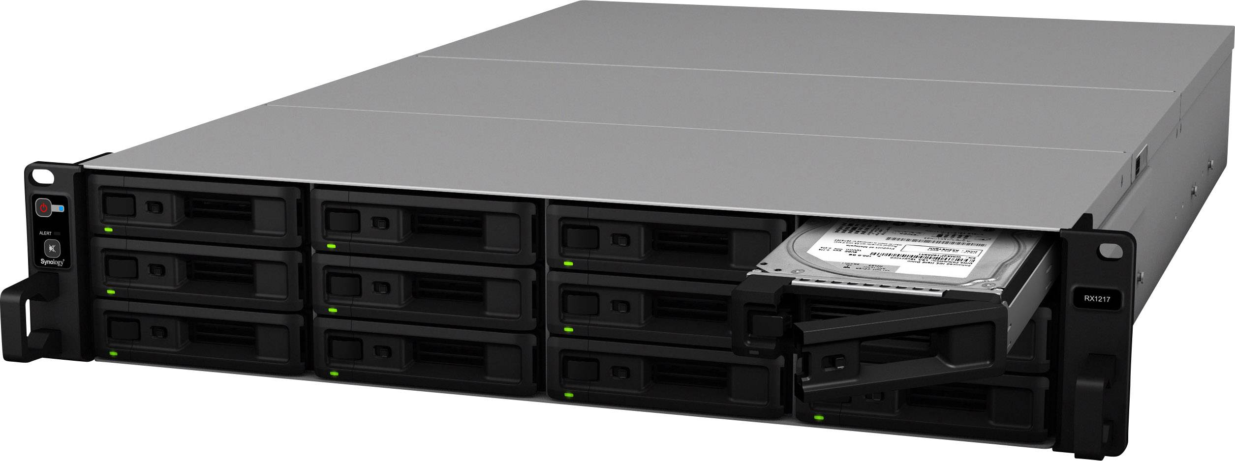 Synology RX1217 - Speichergehäuse - 12 Schächte (SATA-600)-1