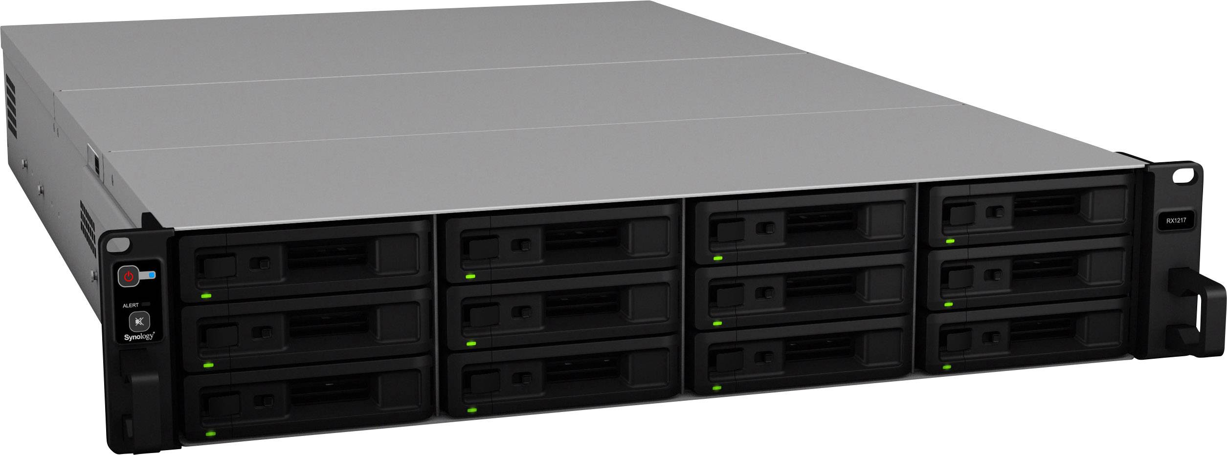 Synology RX1217 - Speichergehäuse - 12 Schächte (SATA-600)-4