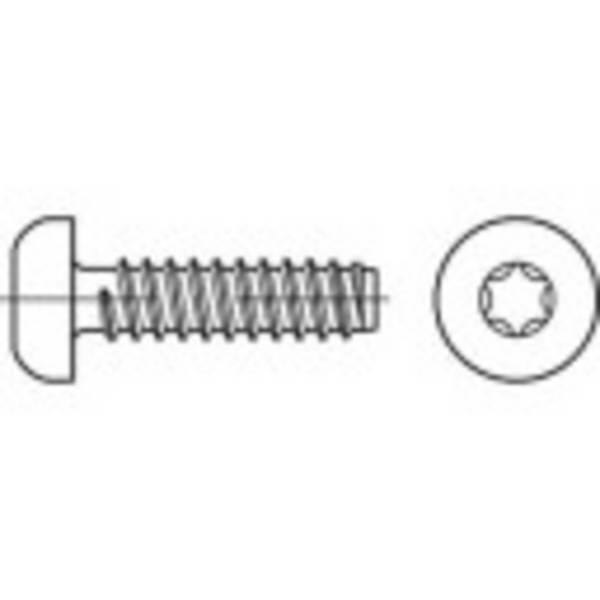 TOOLCRAFT 1069394  Linsenblechschrauben 5.5 mm 38 mm T-Profil    Edelstahl A2 250 St.