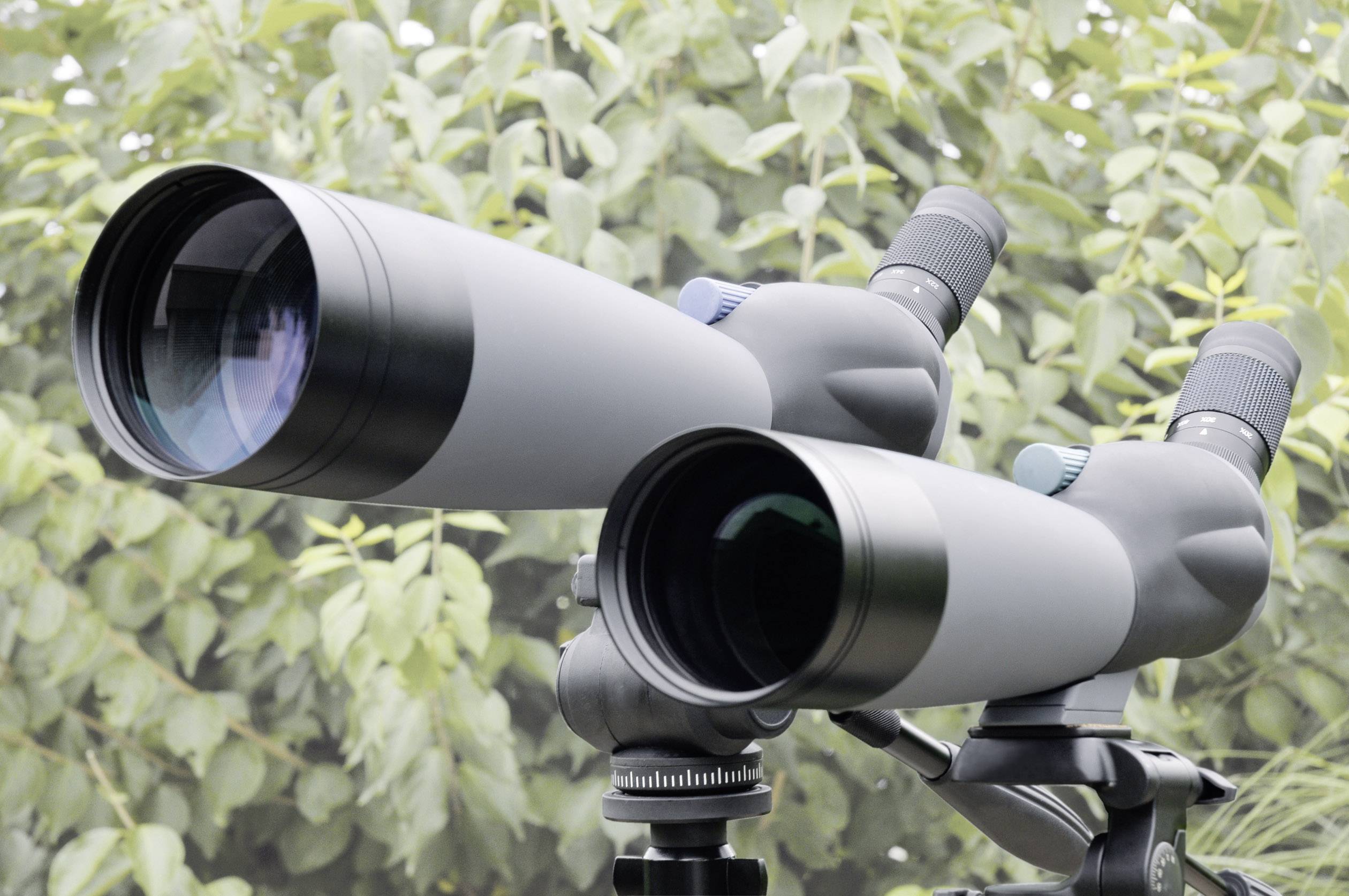 Zwei große Teleskope auf einem Stativ, die auf einen grünen, blättrigen Hintergrund gerichtet sind.