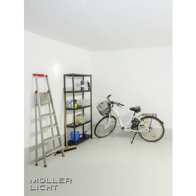Ein Fahrrad steht in einer hell beleuchteten Ecke eines Raumes neben einem schwarzen Regal voll mit Reinigungsutensilien und einer Leiter.