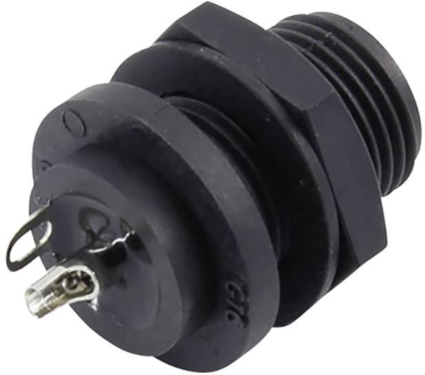 Ein schwarzer, zylindrischer elektrischer Stecker mit zwei Metallkontakten an der Vorderseite.