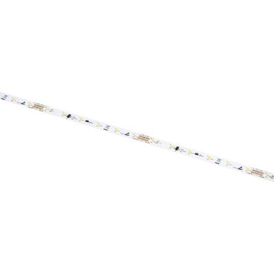 Barthelme LEDlight flex 14 8PF 50001414 LED-Streifen  mit Lötanschluss 24 V/DC 84 mm Blau 