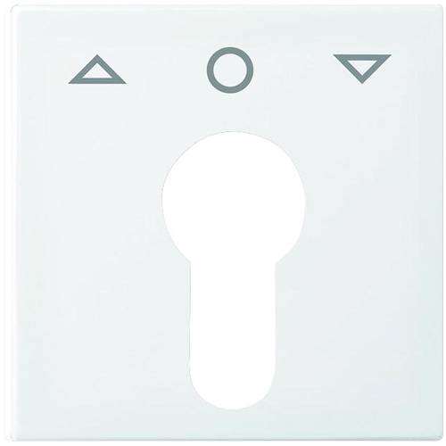 Busch-Jaeger Abdeckung Schlüsselschalter, Schlüsseltaster Busch-balance SI Alpinweiß 2557 PZ-914-101 1 St.