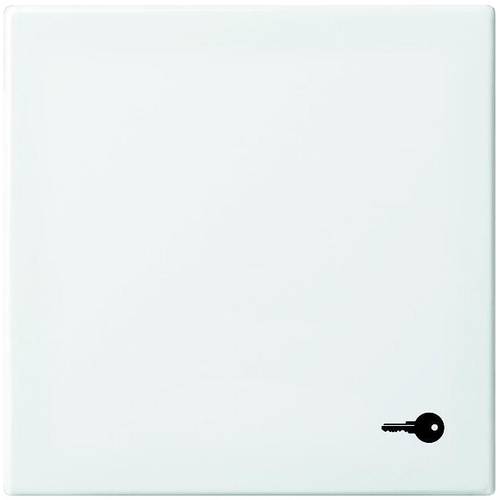 Busch-Jaeger Abdeckung Symbolwippe Schlüssel Busch-balance SI Alpinweiß 2520 TR-914 1 St.