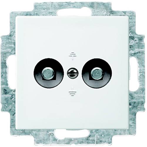 Busch-Jaeger 2fach Einsatz Potenzial-Ausgleichsstecker-Dose Busch-balance SI Alpinweiß 2095 UC-914 1 St.