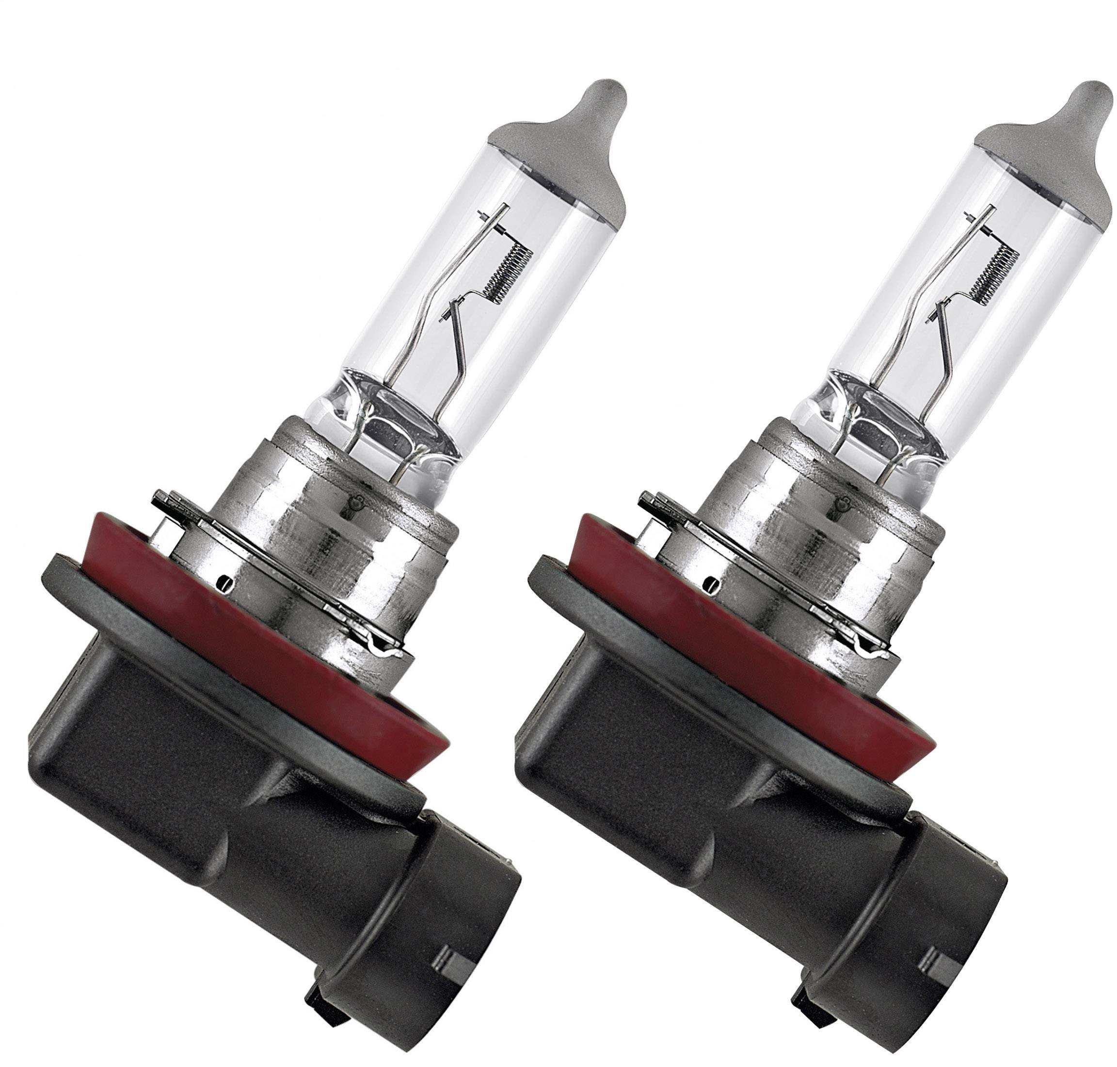 Zwei Halogenlampen in Richtung rechts, mit metallischer Basis und transparentem Glas, zeigen die filigrane Innenstruktur.