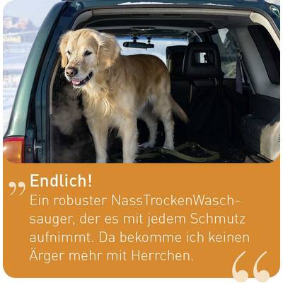 Ein Hund steht im Kofferraum eines Autos, umgeben von Winterlandschaft. Text sagt: 'Endlich! Ein robuster Nass-/Trockensauger, der es mit jedem Schmutz aufnimmt. Da bekomme ich keinen Ärger mehr mit Herrchen.'