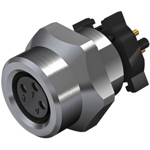 Weidmüller 2422800000 Sensor-/Aktor-Einbausteckverbinder M8 Buchse, Einbau vertikal Polzahl Sensoren: 3 25 St.