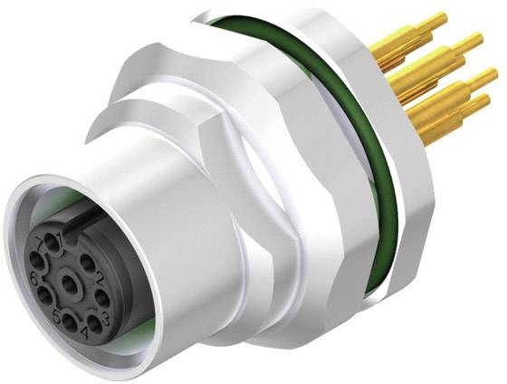 Ein sechspoliger Stecker, dargestellt in einer 3D-Illustration, mit einem metallischen Außengehäuse und goldfarbenen Anschlussstiften.