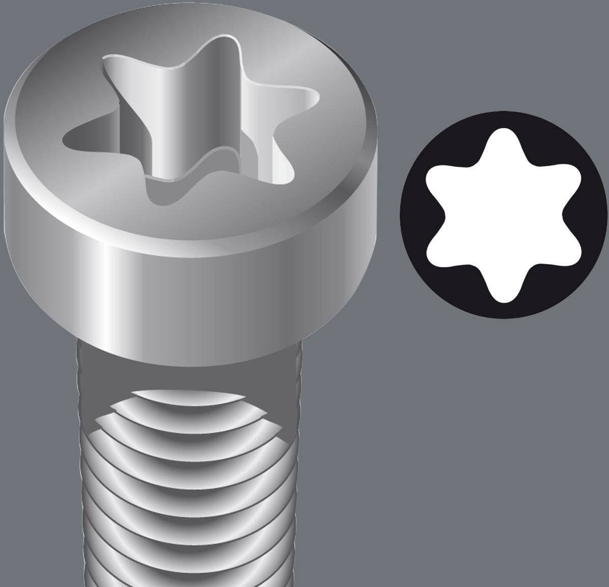 'Illustration einer Torx-Schraube mit sechszackigem Sternkopf und kompatiblem Schraubendreherkopf im Detail.'