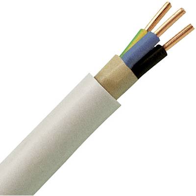 Ein Kabel mit drei Kupferdrähten in den Farben Grün, Blau und Schwarz, umgeben von einer weißen Isolierung.