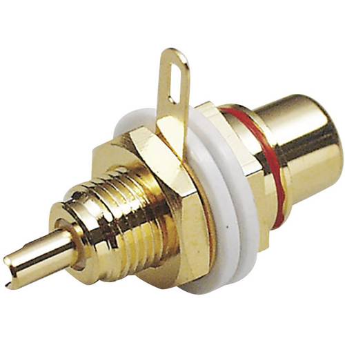 BKL Electronic 0101142 Cinch-Steckverbinder Buchse, Einbau Polzahl: 2 Rot 1 St.