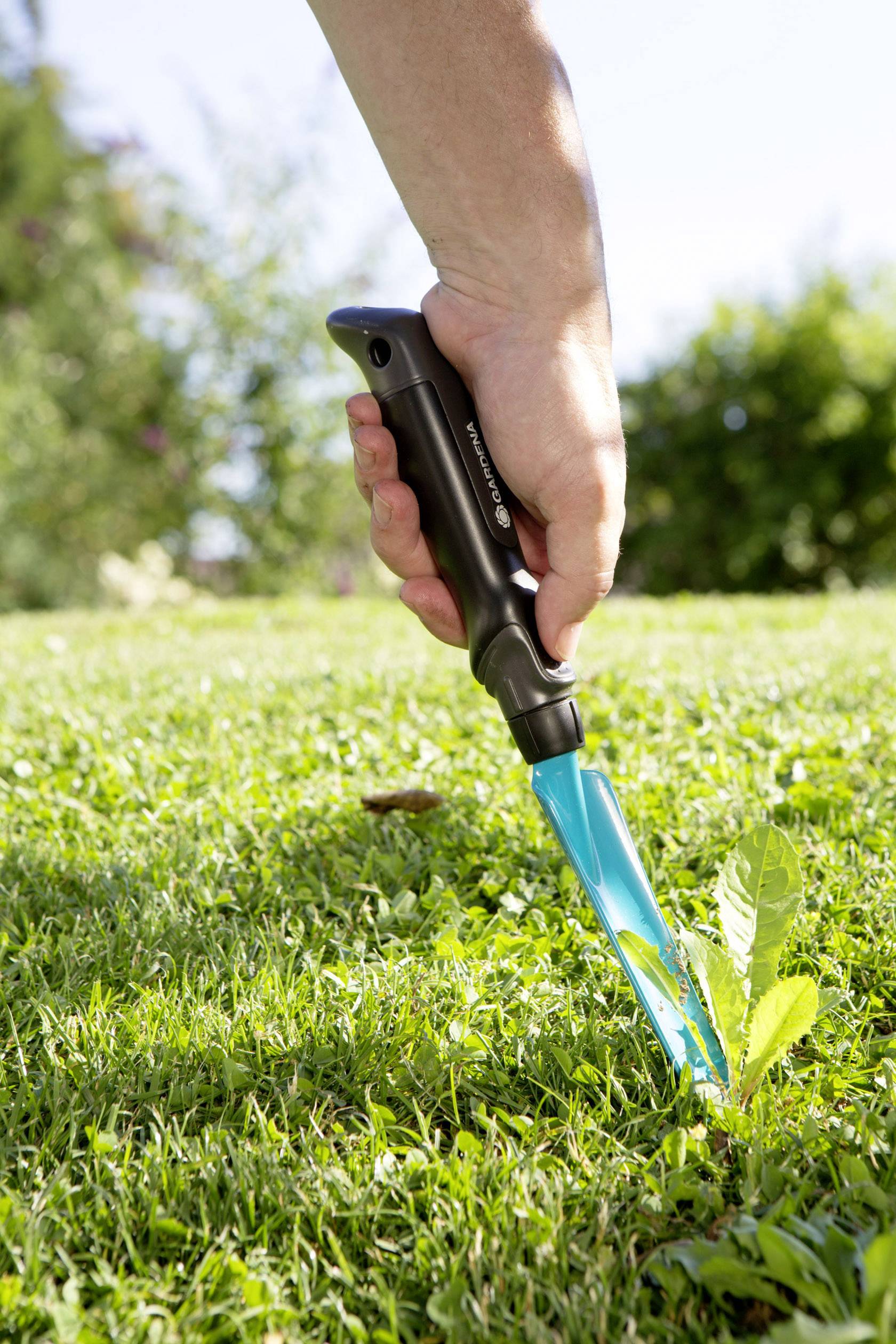 Eine Hand benutzt ein Unkrautstecherwerkzeug, um Unkraut aus einem grasbewachsenen Garten zu entfernen.