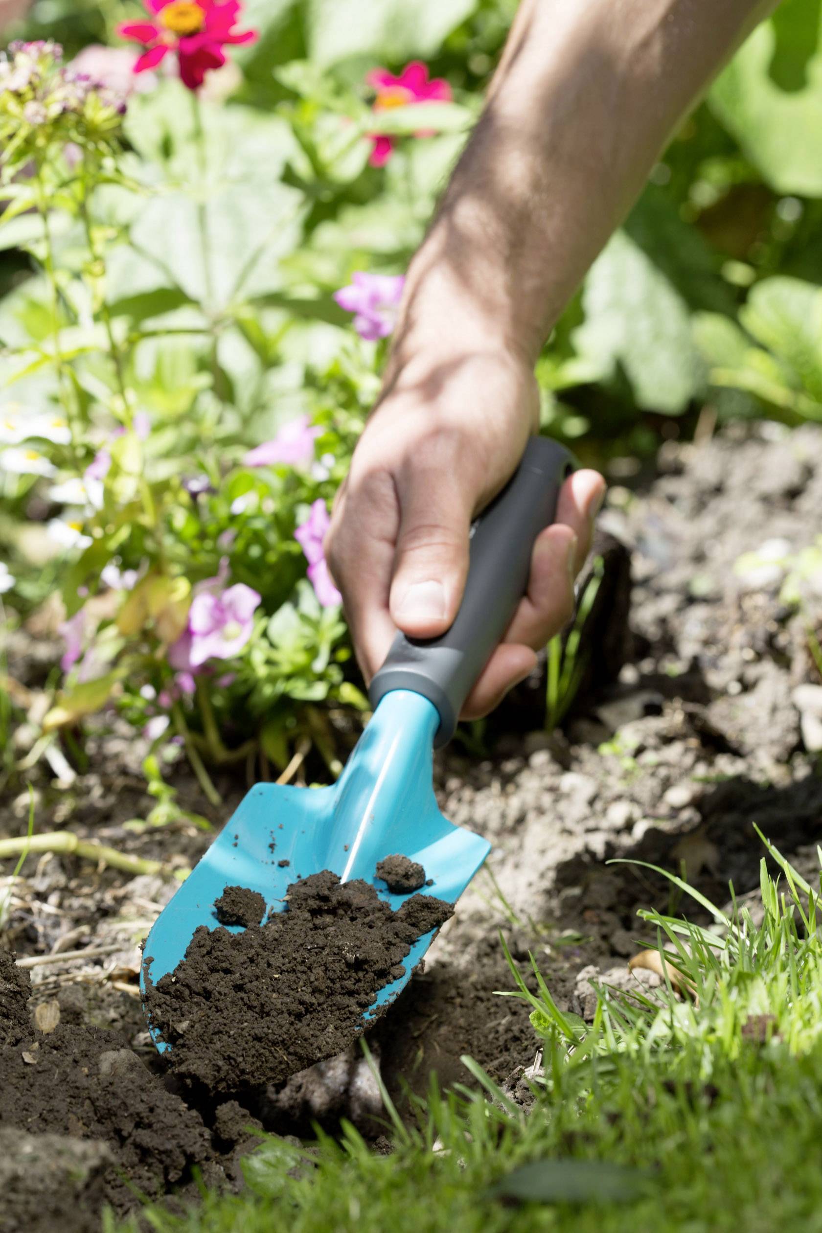 Eine Hand hält eine Schaufel und gräbt Erde in einem Gartenbeet neben blühenden Blumen.