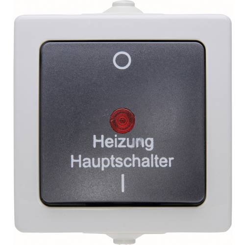 Thumbnail - Kopp 565356002 Feuchtraum-Schalterprogramm Heizungs-Notschalter Nautic Grau 1 St.