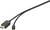Ein Kabel mit zwei Anschlüssen: ein großer DisplayPort-Stecker und ein kleiner USB-C-Stecker. Ideal für Verbindungen zwischen Geräten.