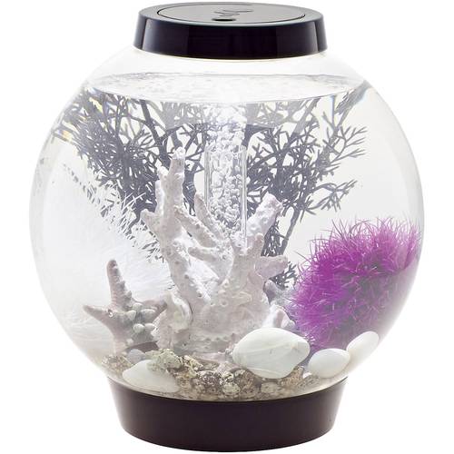 Oase 71999 biOrb CLASSIC 15 LED schwarz Aquarium 15 l mit LED-Beleuchtung