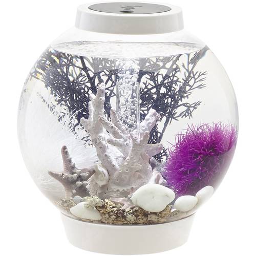 Oase 72001 biOrb CLASSIC 15 LED weiß Aquarium 15 l mit LED-Beleuchtung