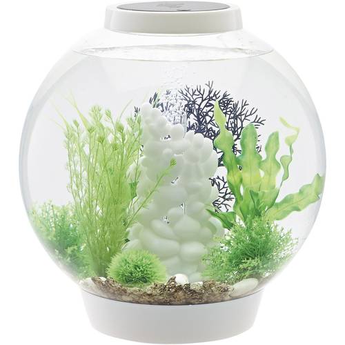 Oase 72007 biOrb CLASSIC 30 LED weiß Aquarium 30 l mit LED-Beleuchtung